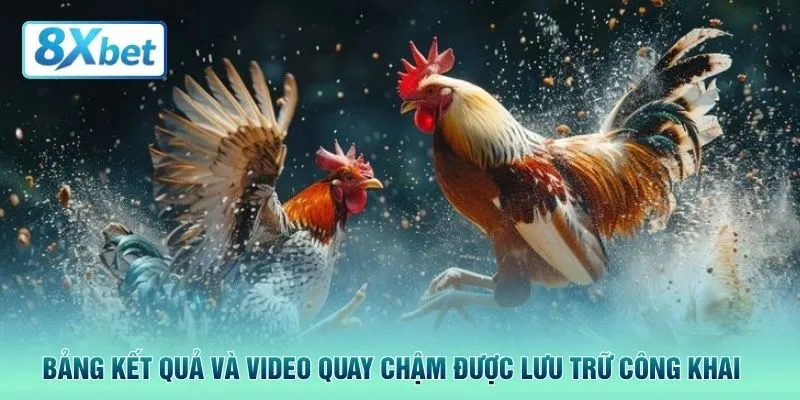 Bảng kết quả và video quay chậm được lưu trữ công khai