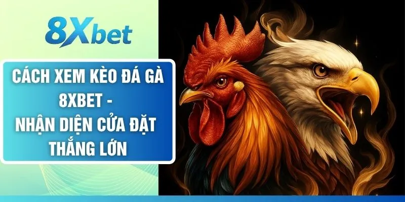 Cách Xem Kèo Đá Gà 8XBET - Nhận Diện Cửa Đặt Thắng Lớn