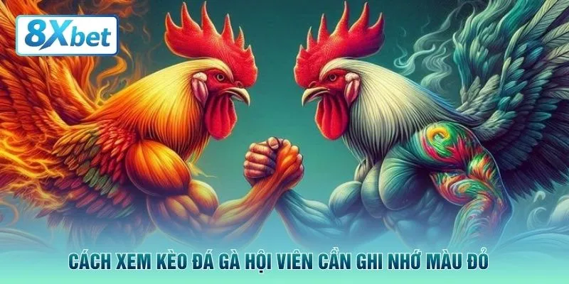 Cách xem kèo đá gà hội viên cần ghi nhớ màu đỏ 