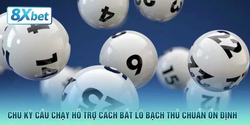 Chu kỳ cầu chạy hỗ trợ cách bắt lô bạch thủ chuẩn ổn định 