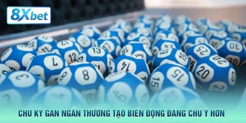 Chu kỳ gan ngắn thường tạo biến động đáng chú ý hơn