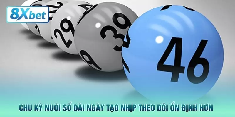 Chu kỳ nuôi số dài ngày tạo nhịp theo dõi ổn định hơn