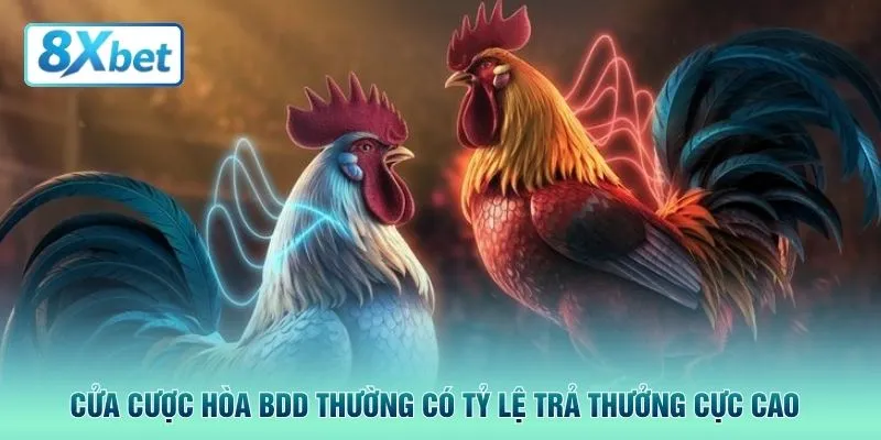 Cửa cược hòa BDD thường có tỷ lệ trả thưởng cực cao