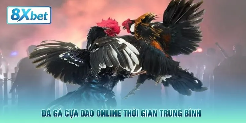 Đá gà cựa dao online thời gian trung bình