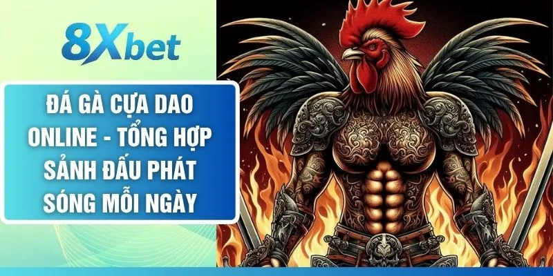 Đá Gà Cựa Dao Online - Tổng Hợp Sảnh Đấu Phát Sóng