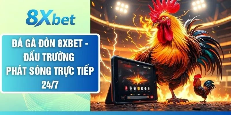 Đá Gà Đòn 8XBET - Đấu Trường Phát Sóng Trực Tiếp 24/7