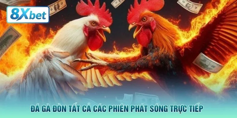 Đá gà đòn tất cả các phiên phát sóng trực tiếp