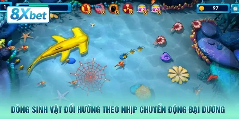 Dòng sinh vật đổi hướng theo nhịp chuyển động đại dương