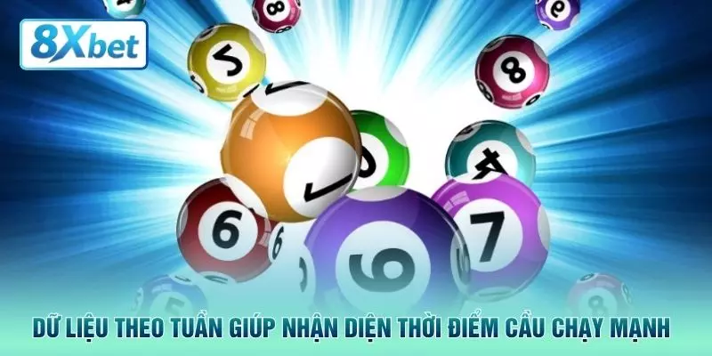 Dữ liệu theo tuần giúp nhận diện thời điểm cầu chạy mạnh