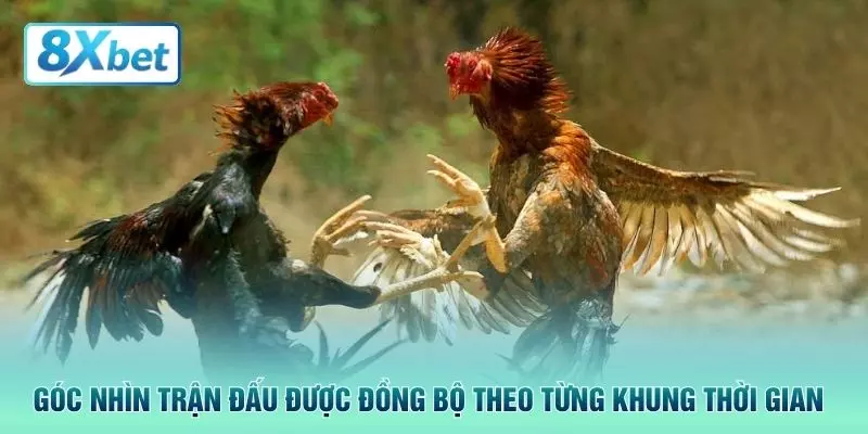 Góc nhìn trận đấu được đồng bộ theo từng khung thời gian