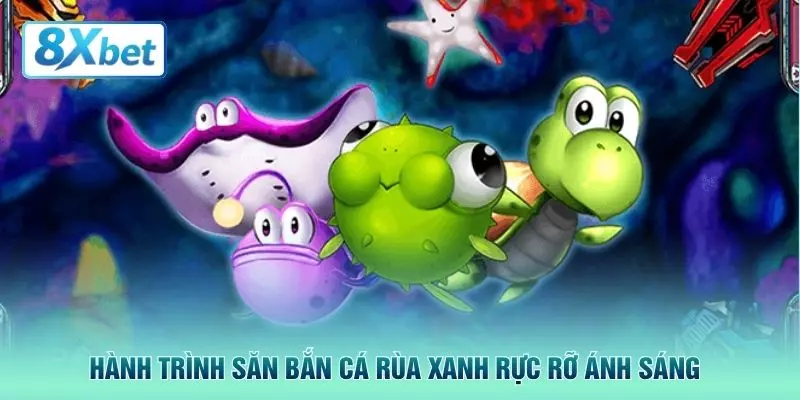 Hành trình săn bắn cá rùa xanh rực rỡ ánh sáng