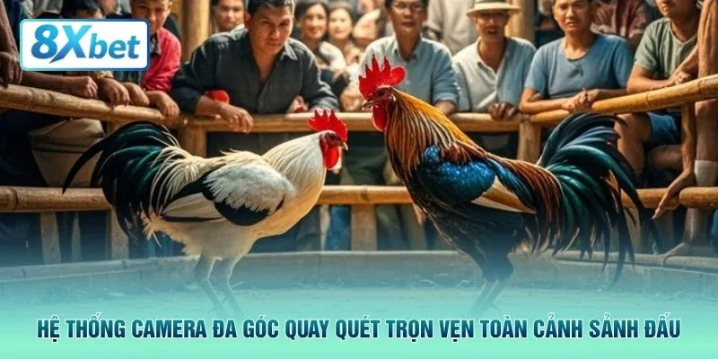 Hệ thống camera đa góc quay quét trọn vẹn toàn cảnh sảnh đấu