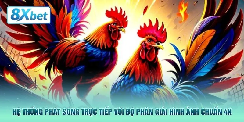 Hệ thống phát sóng trực tiếp với độ phân giải hình ảnh chuẩn 4K