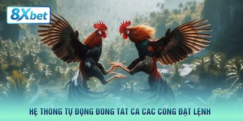 Hệ thống tự động đóng tất cả các cổng đặt lệnh