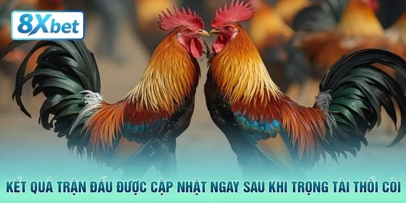 Kết quả trận đấu được cập nhật ngay sau khi trọng tài thổi còi