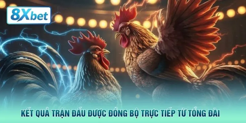 Kết quả trận đấu được đồng bộ trực tiếp từ tổng đài 