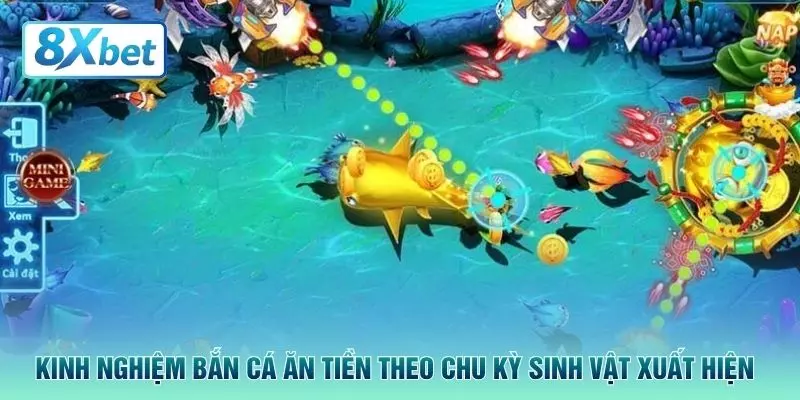 Kinh nghiệm bắn cá ăn tiền theo chu kỳ sinh vật xuất hiện