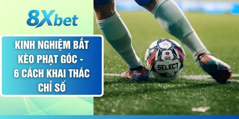 Kinh Nghiệm Bắt Kèo Phạt Góc - 6 Cách Khai Thác Chỉ Số