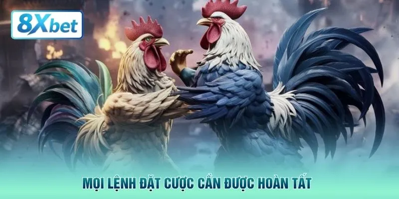 Mọi lệnh đặt cược cần được hoàn tất