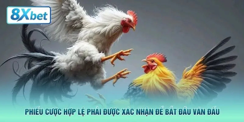 Phiếu cược hợp lệ phải được xác nhận để bắt đầu ván đấu