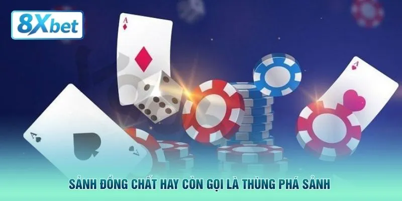 Sảnh đồng chất hay còn gọi là thùng phá sảnh 