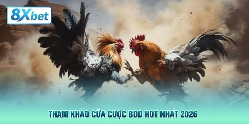 Tham khảo cửa cược BDD hot nhất 2026