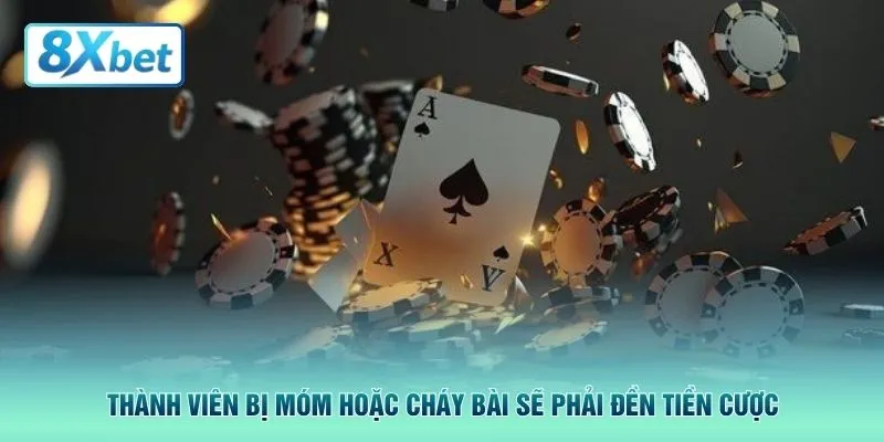 Thành viên bị móm hoặc cháy bài sẽ phải đền tiền cược