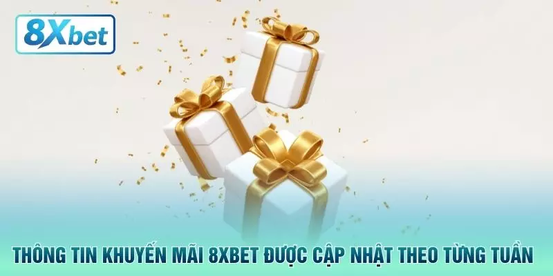 Thông tin khuyến mãi 8XBET được cập nhật theo từng tuần