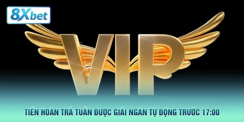 Tiền hoàn trả tuần được giải ngân tự động trước 17:00