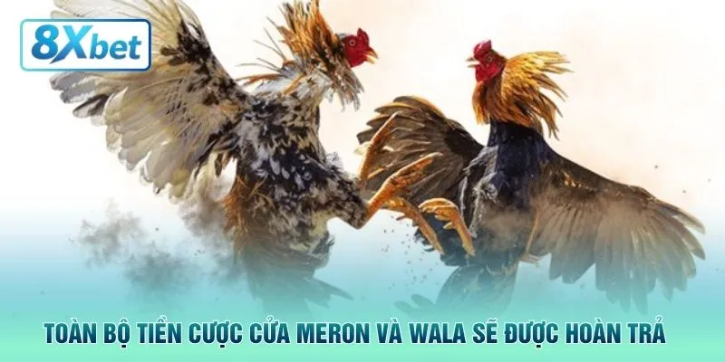 Toàn bộ tiền cược cửa Meron và Wala sẽ được hoàn trả 