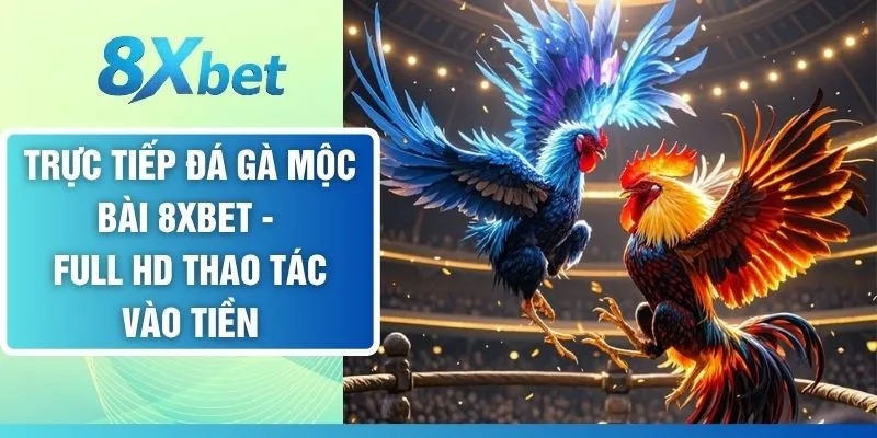 Trực Tiếp Đá Gà Mộc Bài 8XBET - Full HD Thao Tác Vào Tiền