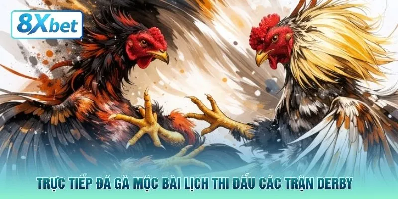 Trực tiếp đá gà Mộc Bài lịch thi đấu các trận derby 