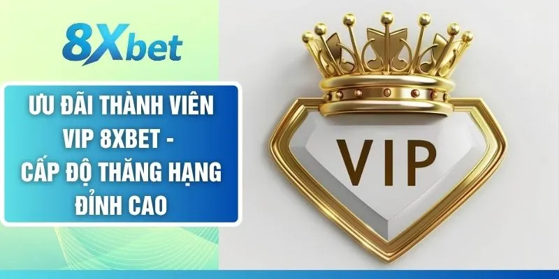 Ưu Đãi Thành Viên VIP 8XBET - Cấp Độ Thăng Hạng Đỉnh Cao