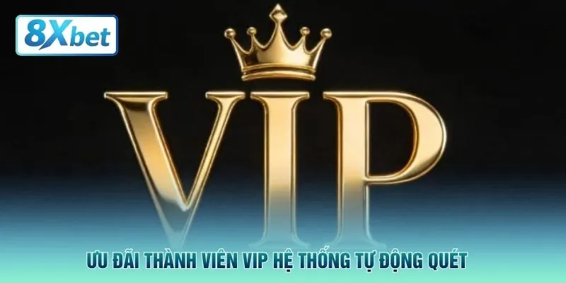 Ưu đãi thành viên VIP hệ thống tự động quét 
